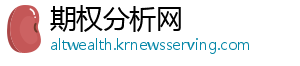 期权分析网